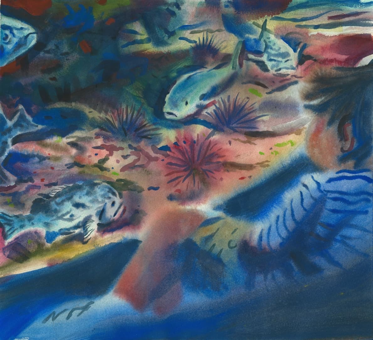 Aquarium