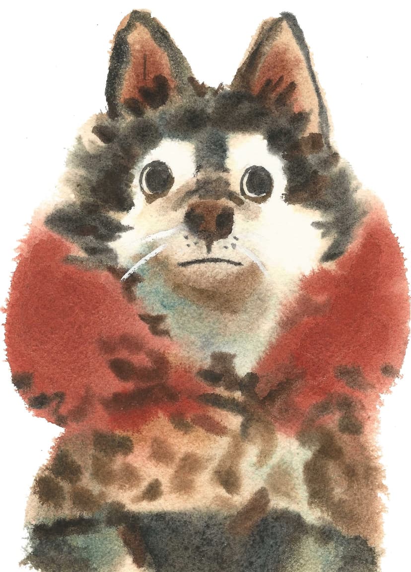 Koda