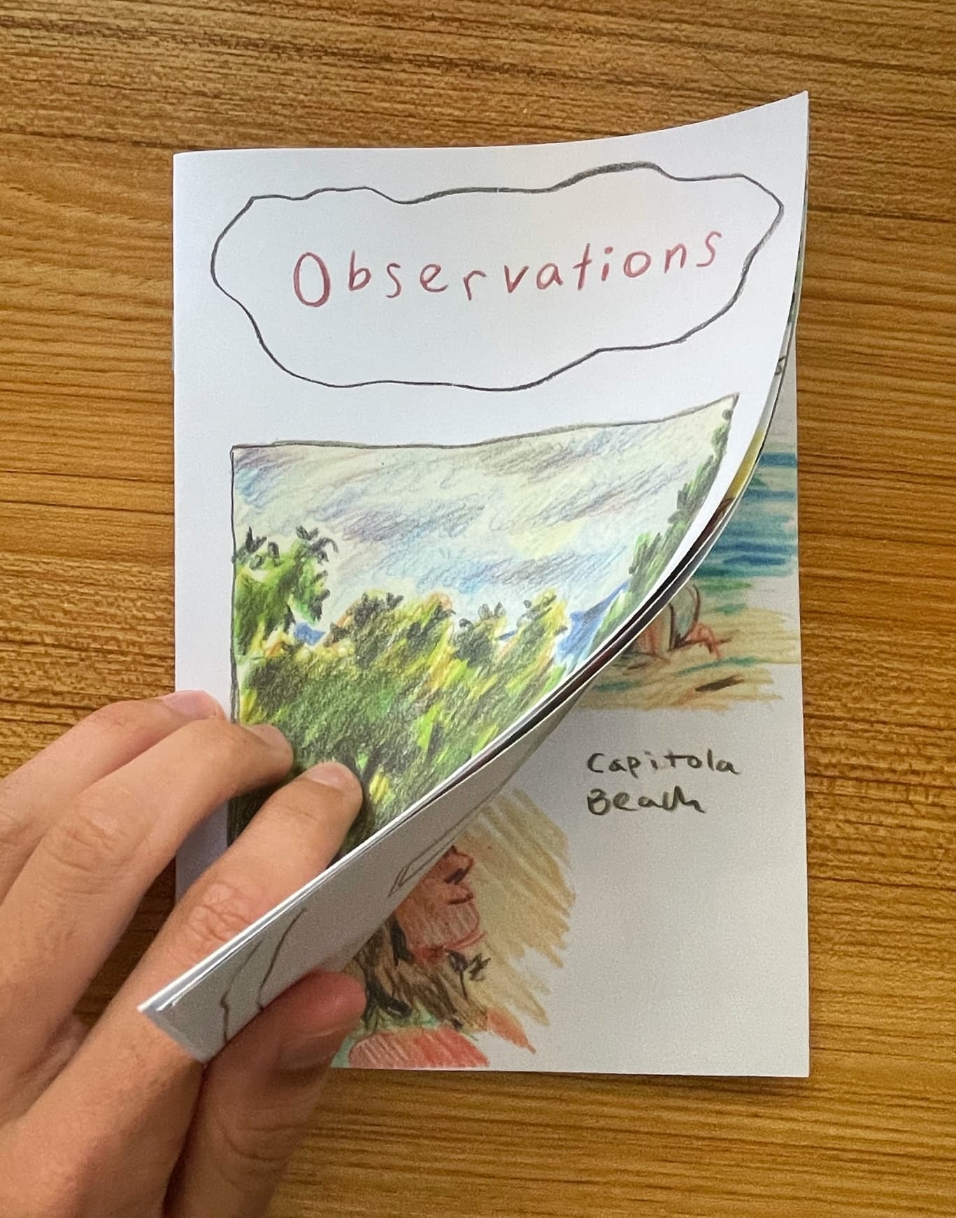 Observations Zine